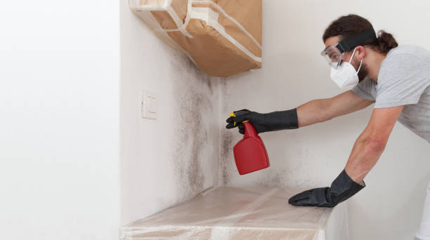 Professional Commercial Mold Remediation technician working in Bunnlevel, NC