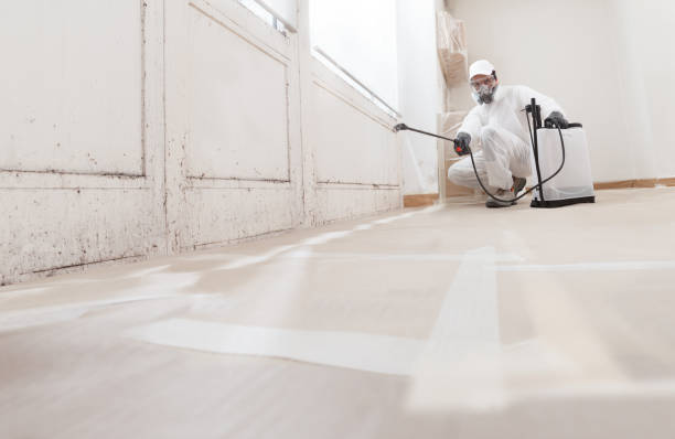24/7 Emergency Commercial Mold Remediation experts in Bunnlevel, NC